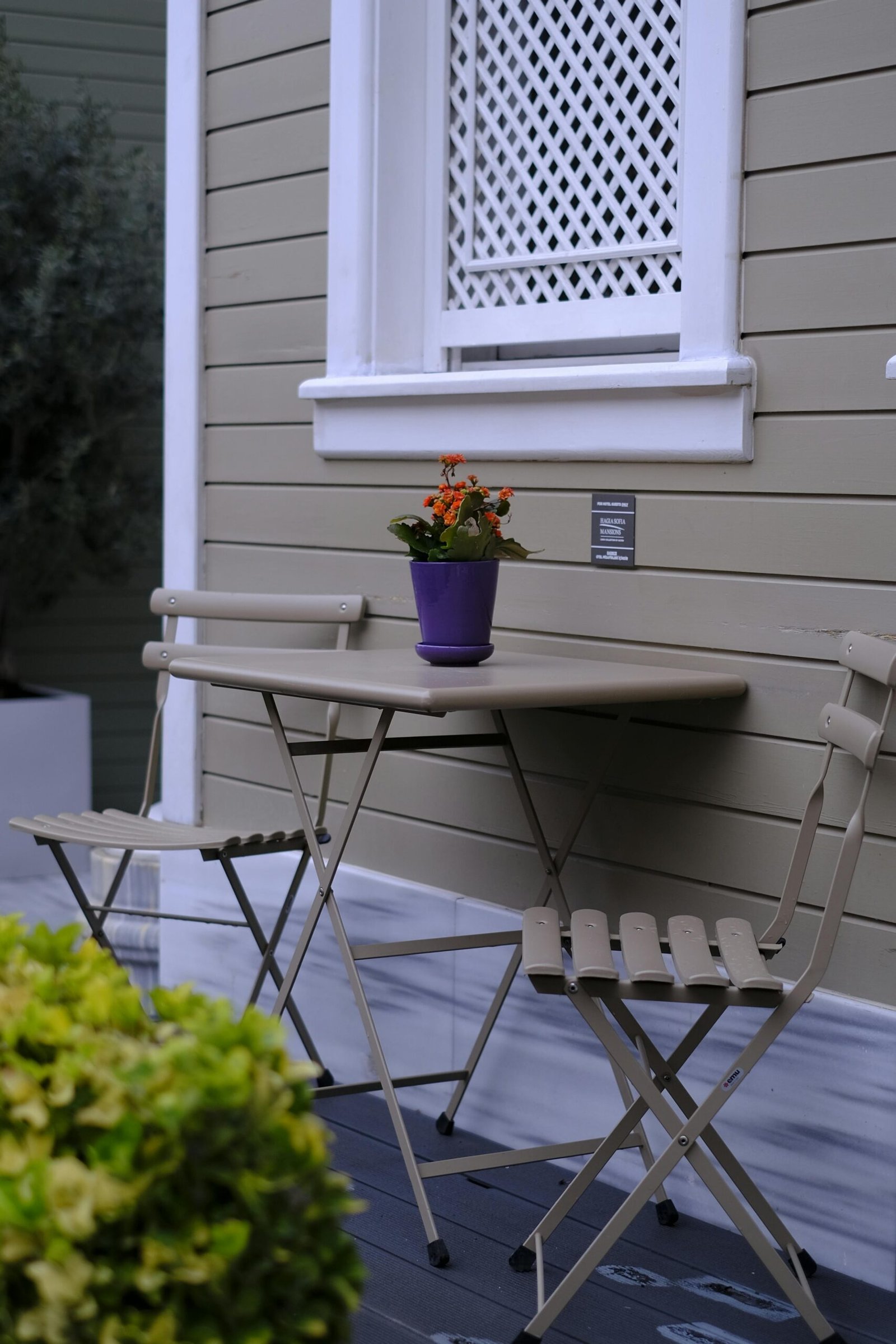 Charming outdoor patio scene featuring a folding table, two chairs, and a vibrant potted plant.
